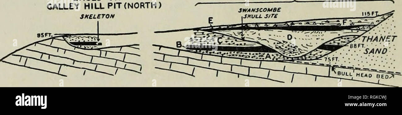 Geology. Fig. 3. The Galley Hill pit 